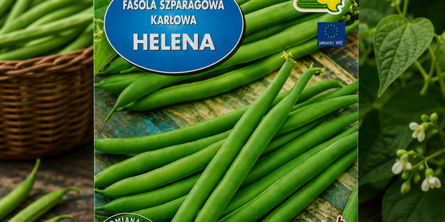 Fasola Helena op.50g
