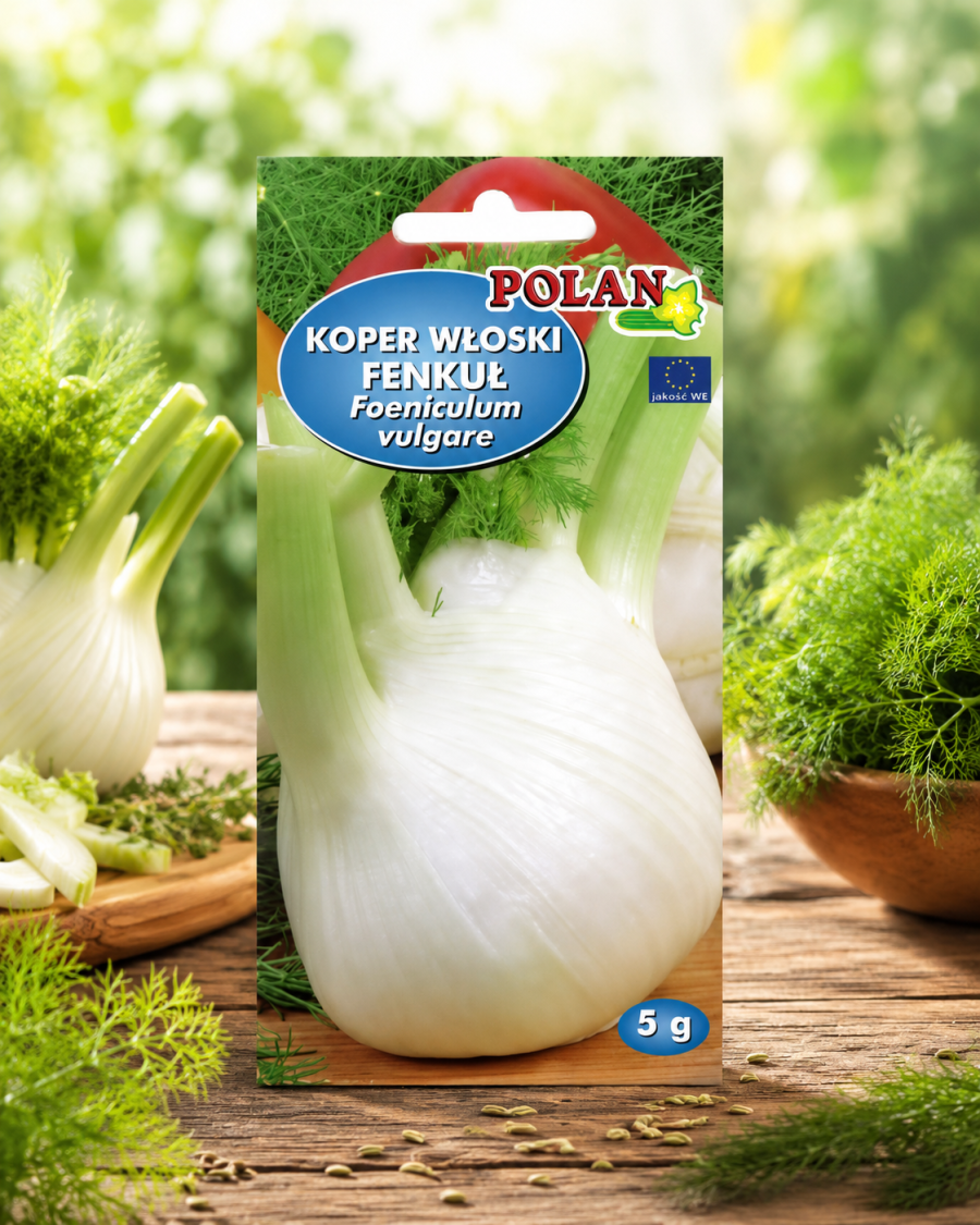 Koper włoski Doux de Florence op.5g