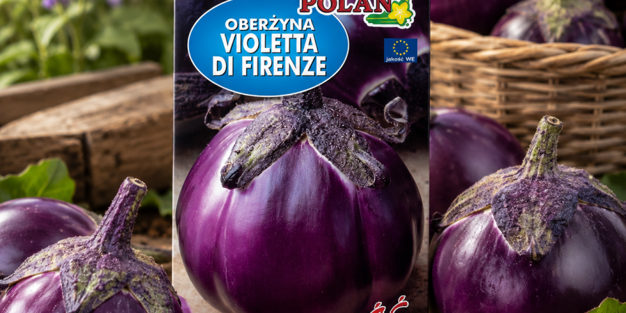 Oberżyna Violetta Di Firenze 1g