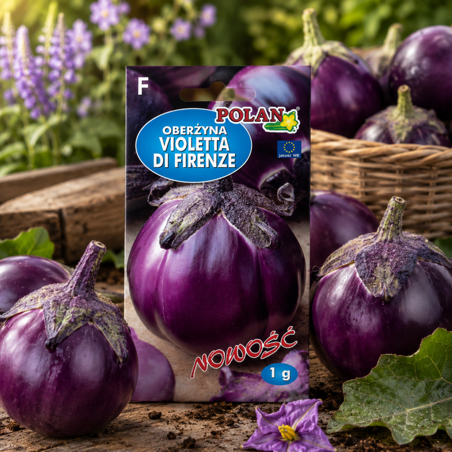 Bakłażan (Oberżyna) Violetta di Firenze 0,5 g