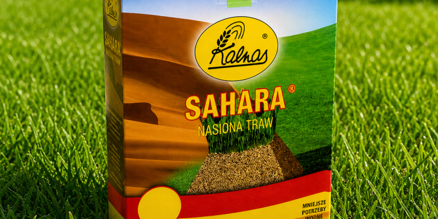 KALNAS Trawa Sahara 0,5 kg