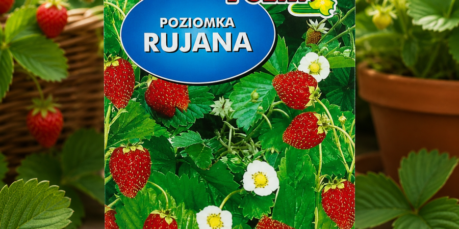 Poziomka Rujana Op 0,3g