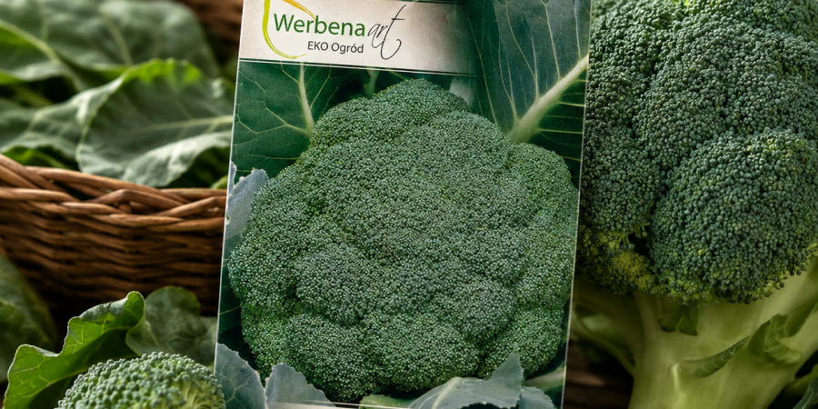 Brokuł Limba 1g