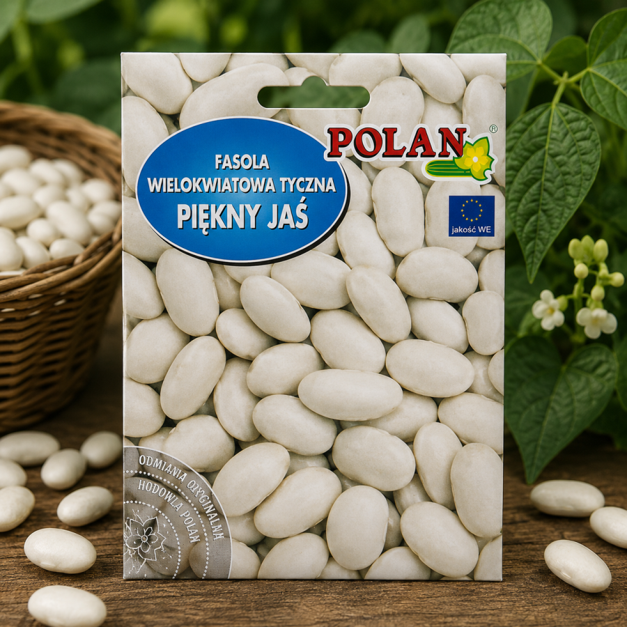 Fasola tyczna Piękny Jaś 50 g – późna odmiana fasoli na suche nasiona