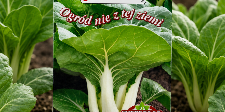 Kapusta chińska Pak Choi 0,1g