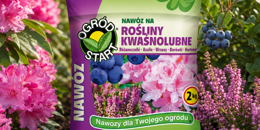 OGRÓD STAR Nawóz do roślin kwaśnolubnych 2kg