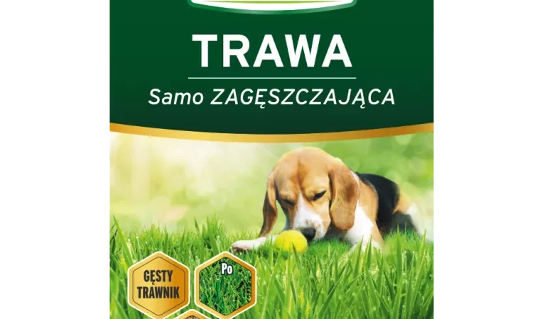 SUBSTRAL Mieszanka traw uniwersalna 1kg