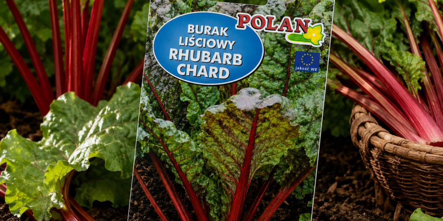 Burak Liściowy Rhubarb OP. 8g