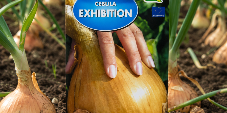 Cebula Exhibiition Op.1g
