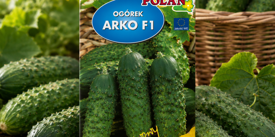 Ogórek Arko F1 op.5g
