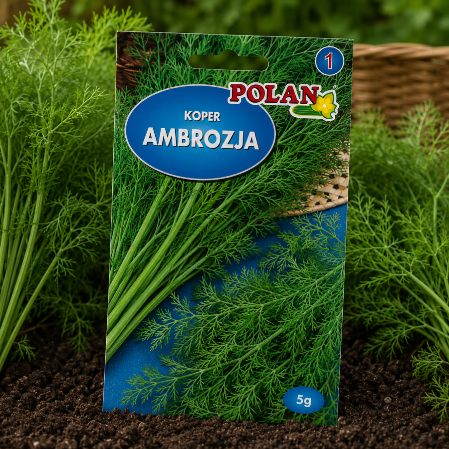 Koper Ambrozja op.5g