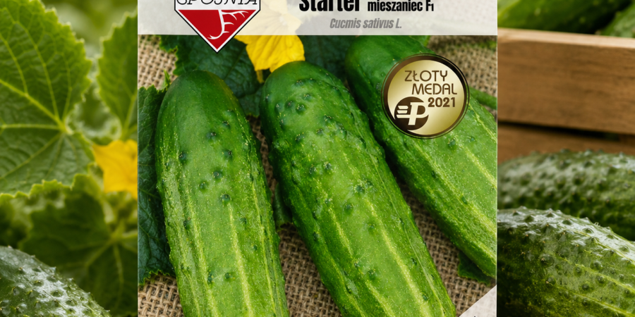 Ogórek Starter F1 5g