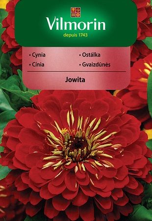 Cynia wytworna daliowa czerwona Jowita 1g