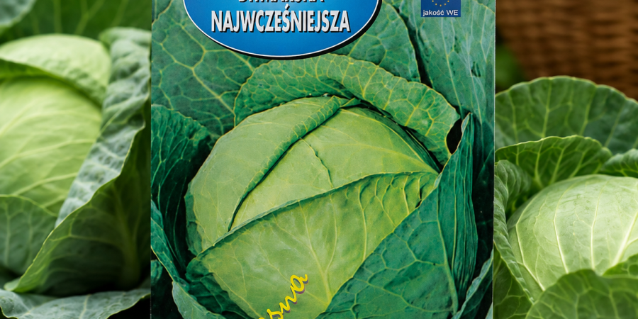 Kapusta biała Ditmarska Najwcześniejsza Op.2g