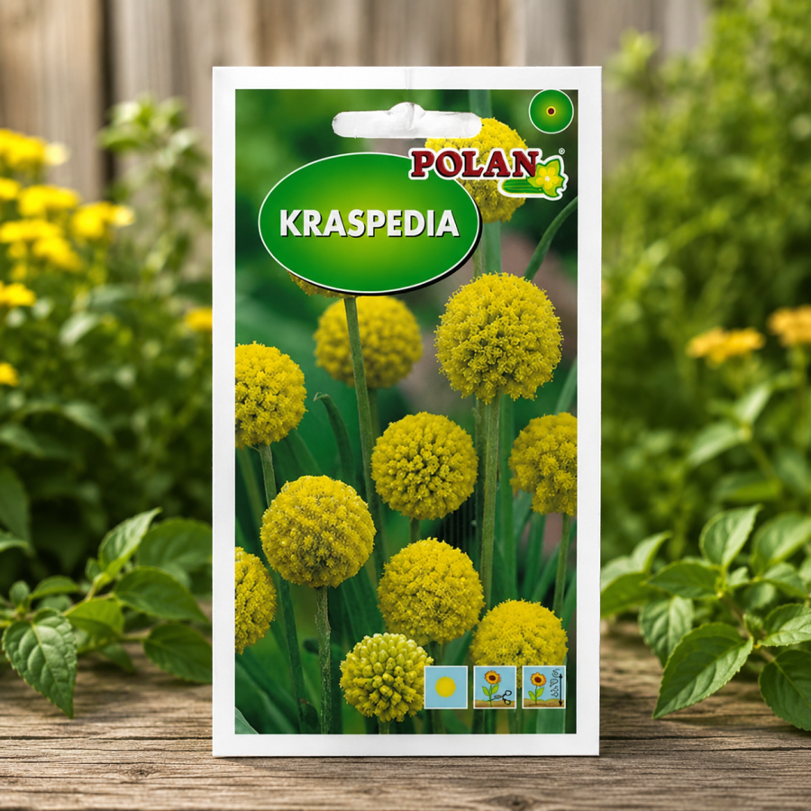 Kraspedia żółta op.0,1g