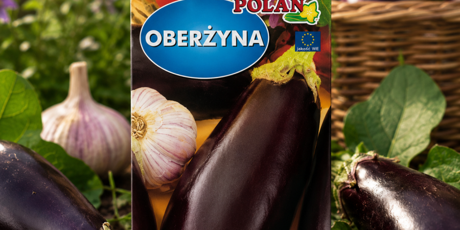 Oberżyna Black Beauty Op.1g