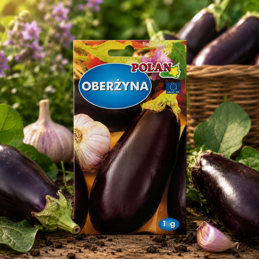 Bakłażan (Oberżyna) Black Beauty 1 g