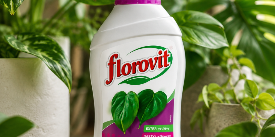 FLOROVIT Żel nawóz do zielonych 800g