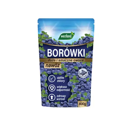 WESTLAND Nawóz do borówek 800g