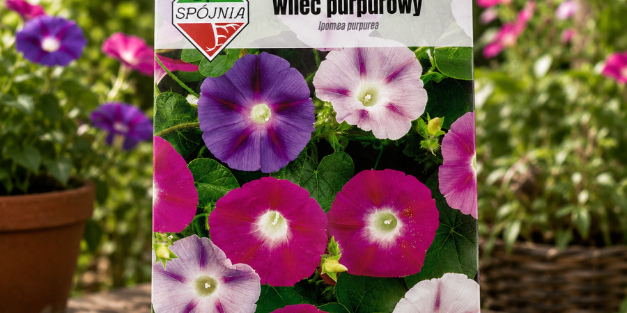 Powój Wilec 3g