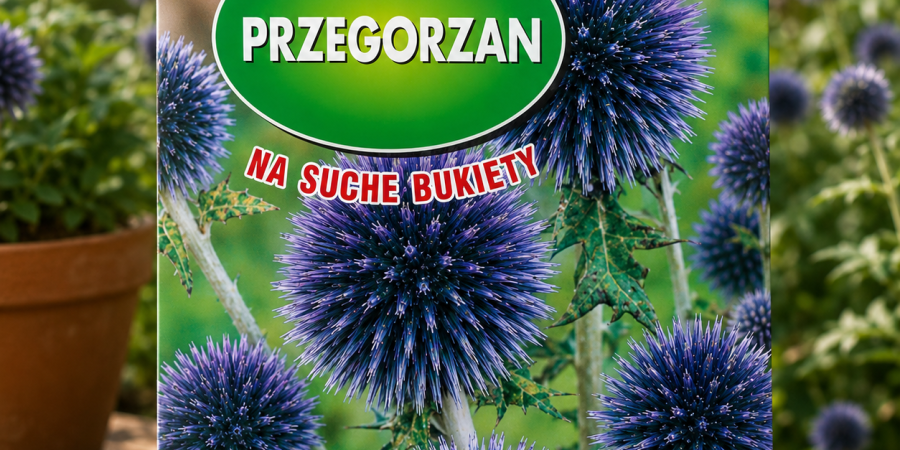 Przegorzan Niebieski op.1g
