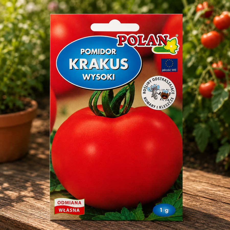 Pomidor Krakus 1 g – średnio późna odmiana pomidora