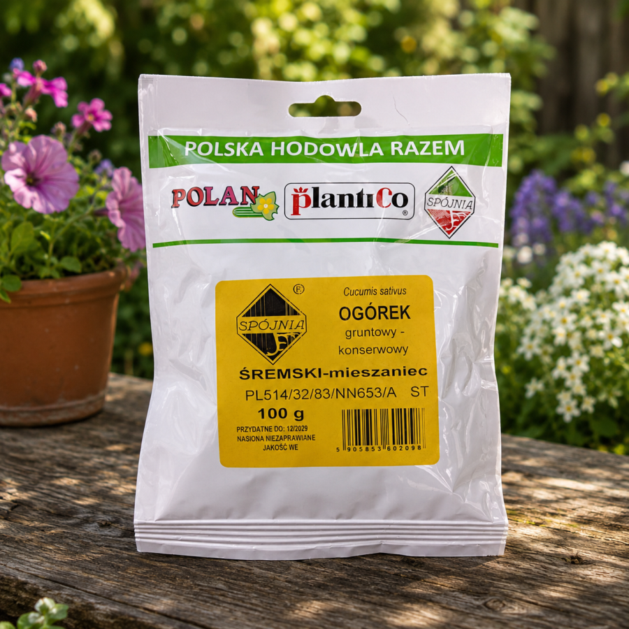 Ogórek Śremski F1 100 g – bardzo wczesna odmiana ogórka