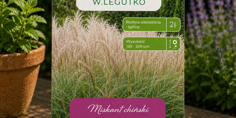 Miskant chiński 0,05g