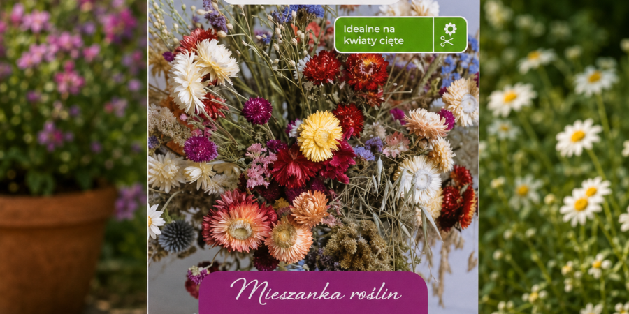 Mieszanka na suche bukiety 1g