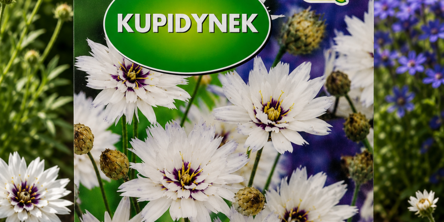 Kupidynek biały op. 0,1g