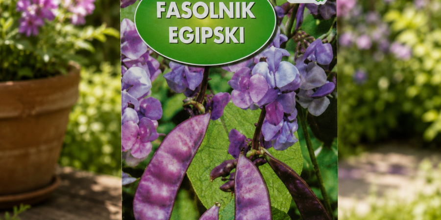 Fasolnik Egipski Op.3g