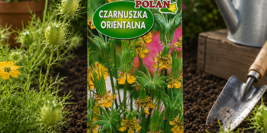 Czarnuszka orientalna op.2g