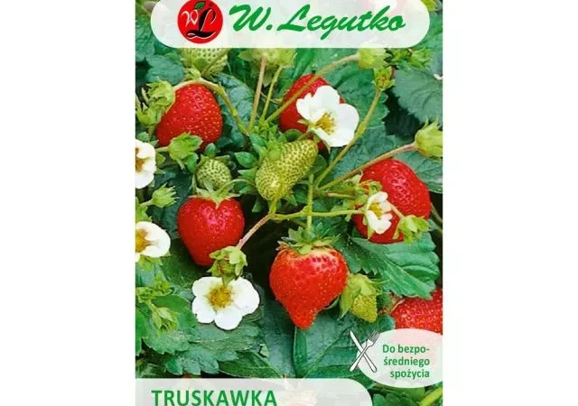 Truskawka Treska op.5g