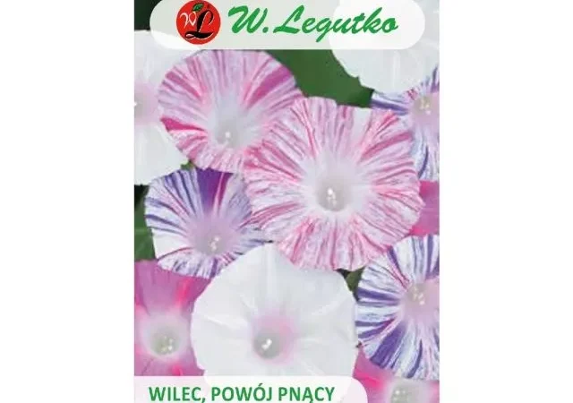 Wilec - Powój pnący 1g