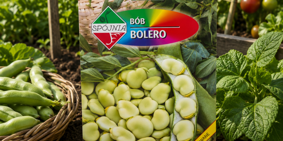 Bób Bolero op.50g