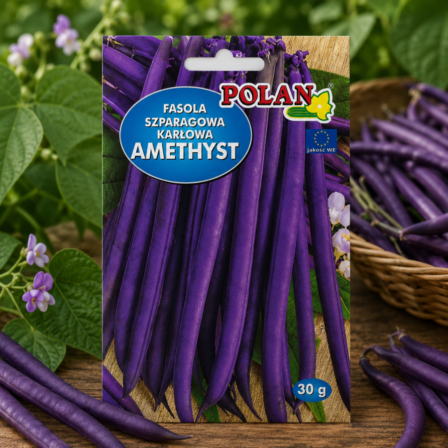 Fasola Amethyst op.30G
