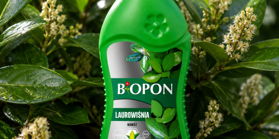 BOPON Nawóz do laurowiśni 0,5l
