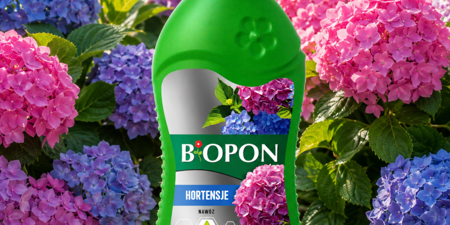 BOPON Nawóz do hortensji 1l