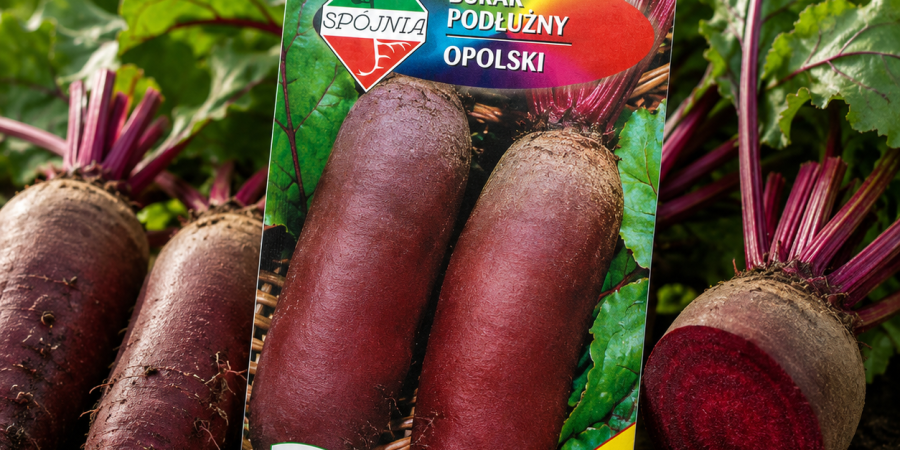 Burak ćw. Opolski 500g