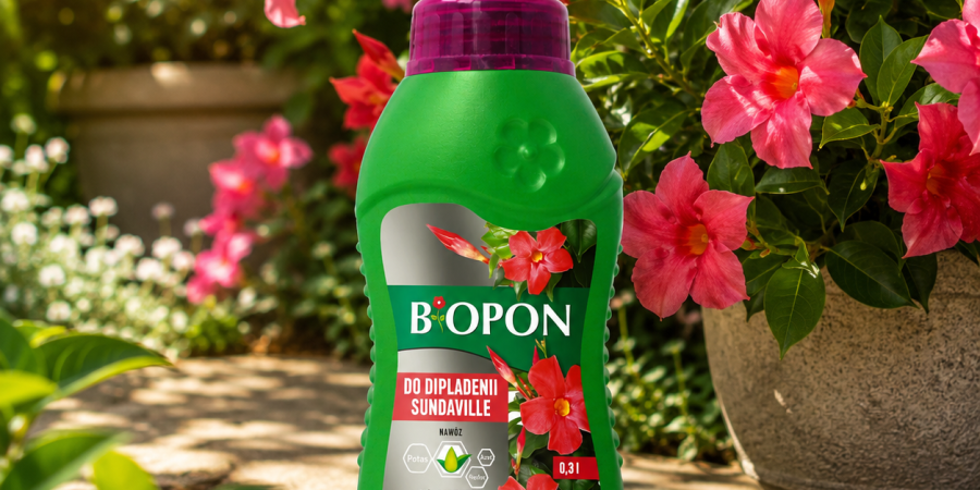 BOPON Nawóz do sundavaville 0,3l