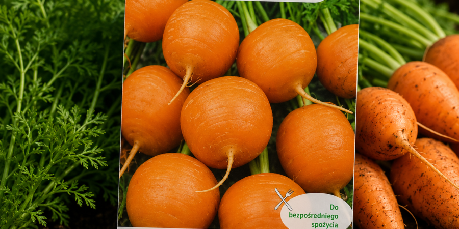 Marchew Parijse markt 4 3g