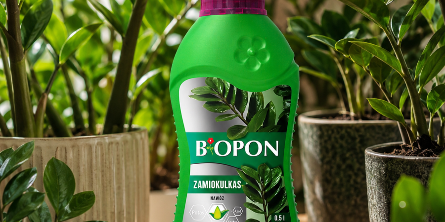 BOPON Nawóz do zamiokulkasa 0,5l
