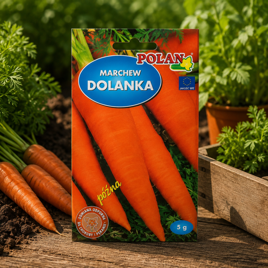 Marchew Dolanka Op.5g