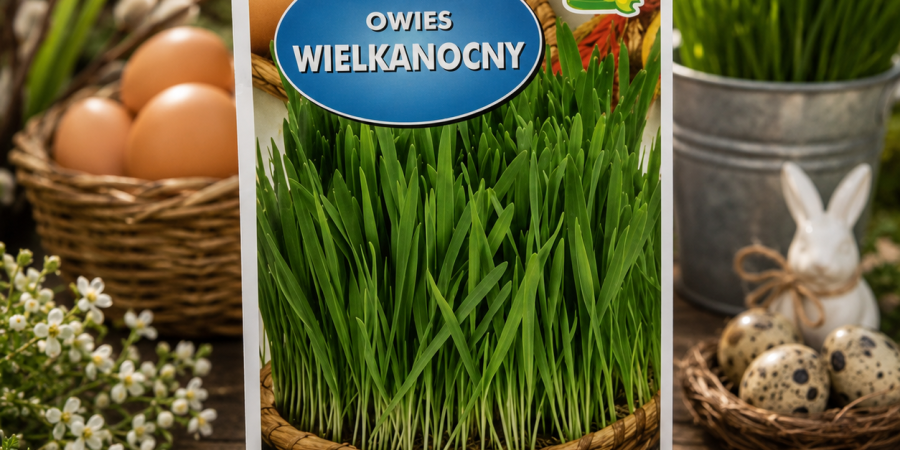 Owies Wielkanocny Op.20g