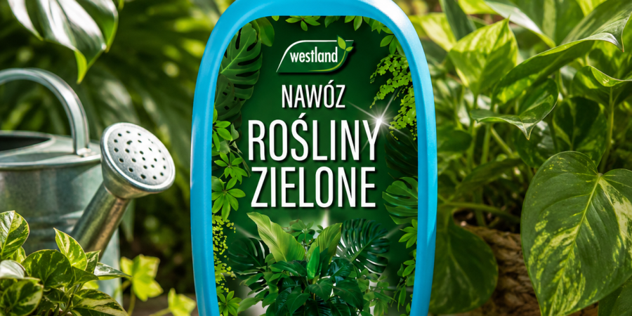 WESTLAND Nawóz płynny do roślin zielonych 1 L – zdrowy wzrost i intensywnie zielone liście
