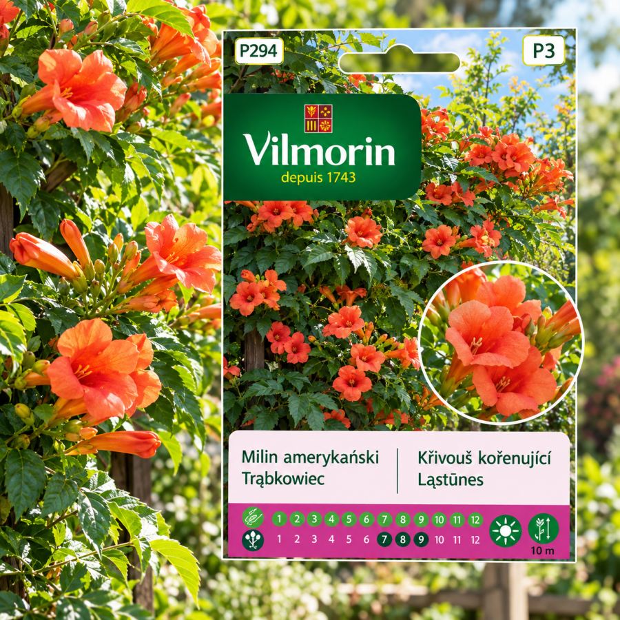 Milin amerykański 0,3g